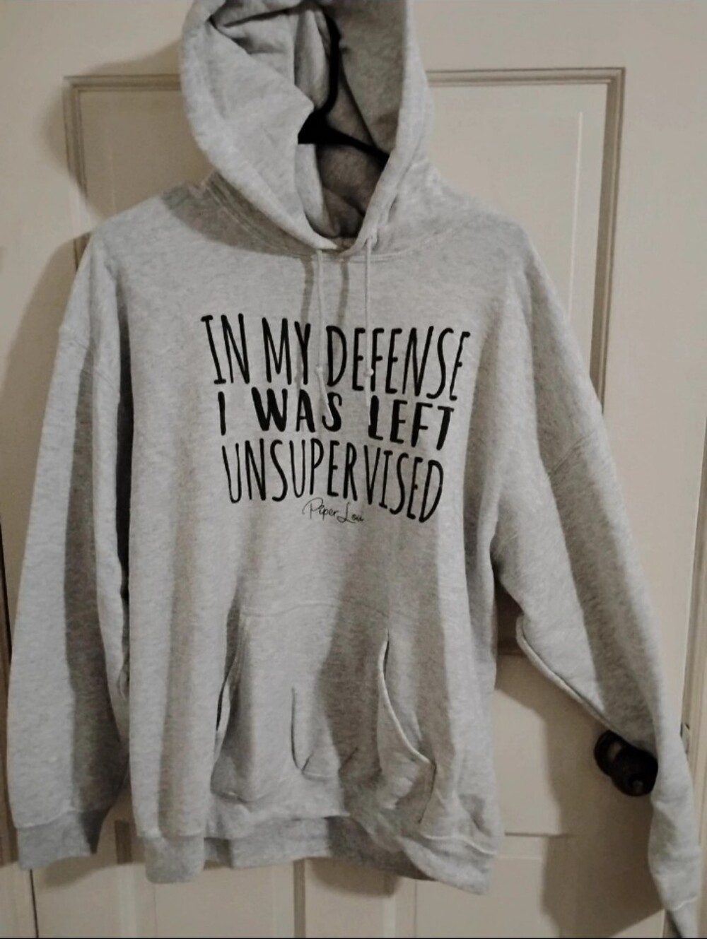 Gray Graphic Hooded Sweatshirt - 'In My Defense'
